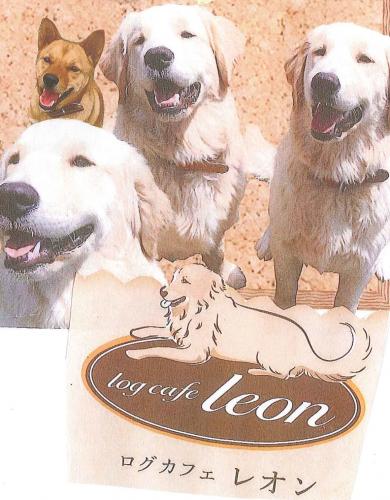 10月17日 火 開催 ログカフェ レオン マリッサとくしま コラボ 犬好きイベント 中止